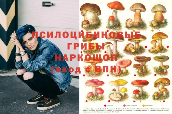 трава Балахна